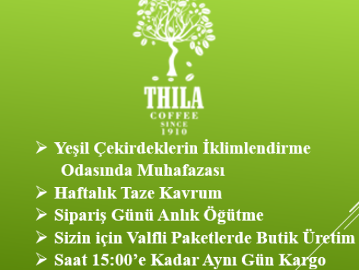 web yeşil esas